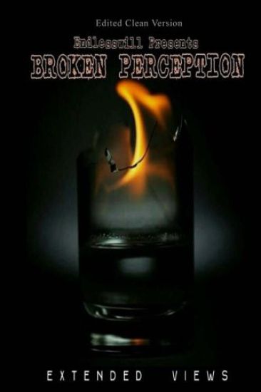 Broken Perception (CLEAN): Extended Views