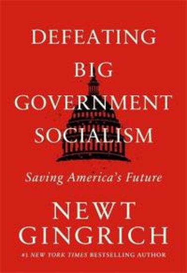 Defeating Big Government Socialism