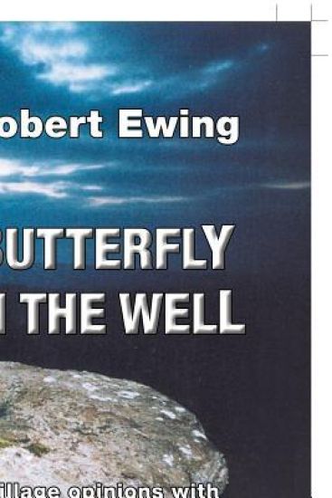 Butterfly in the Well