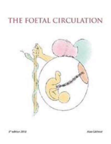The Foetal Circulation