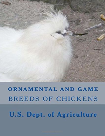 Ornamental and Game Breeds of Chickens
