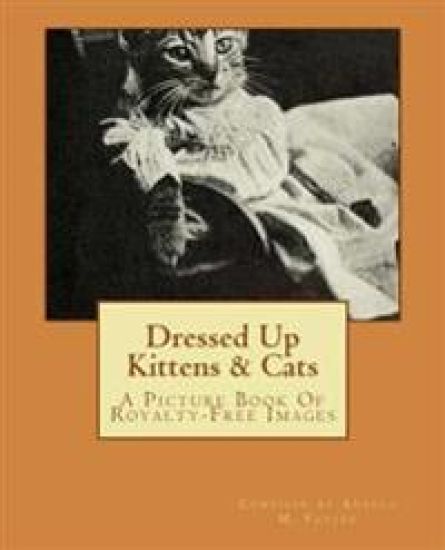 Dressed Up Kittens & Cats