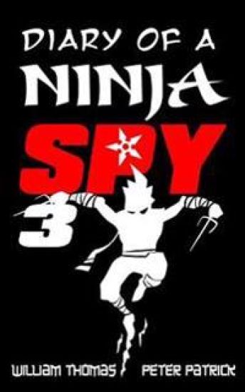 Diary of a Ninja Spy 3: Ninja Ghost Attack!
