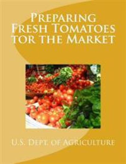 Preparing Fresh Tomatoes tor the Market
