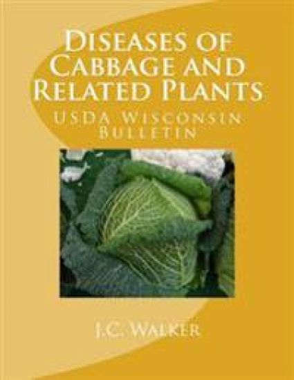 Diseases of Cabbage and Related Plants: USDA Wisconsin Bulletin