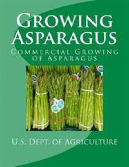 Growing Asparagus: Commercial Growing of Asparagus