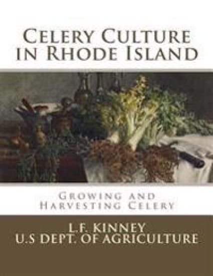 Celery Culture in Rhode Island: Growing and Harvesting Celery