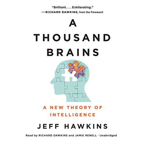 A Thousand Brains: A New Theory of Intelligence