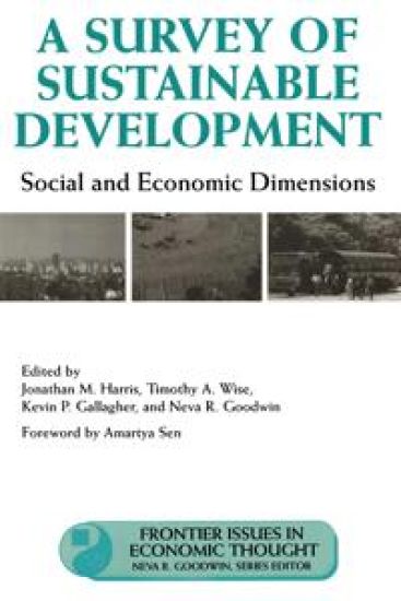 A Survey of Sustainable Development
