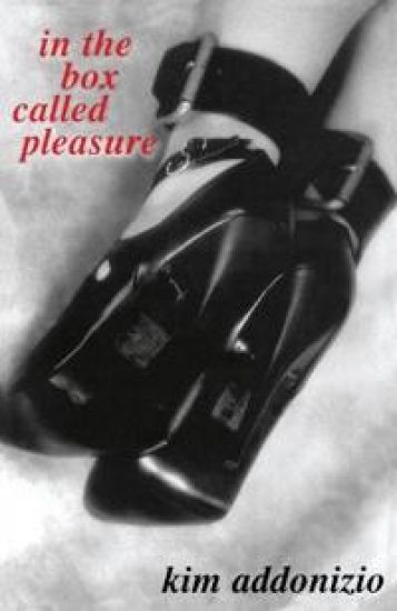 In the Box Called Pleasure