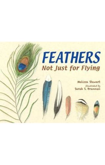 Feathers