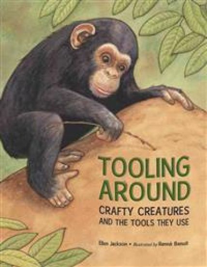 Tooling Around