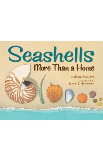 Seashells