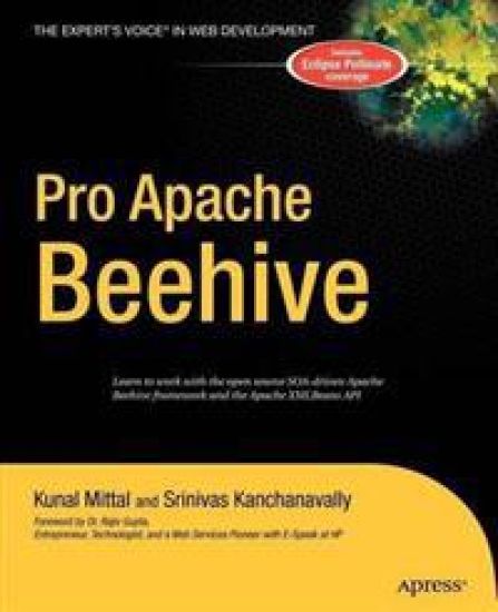Pro Apache Beehive