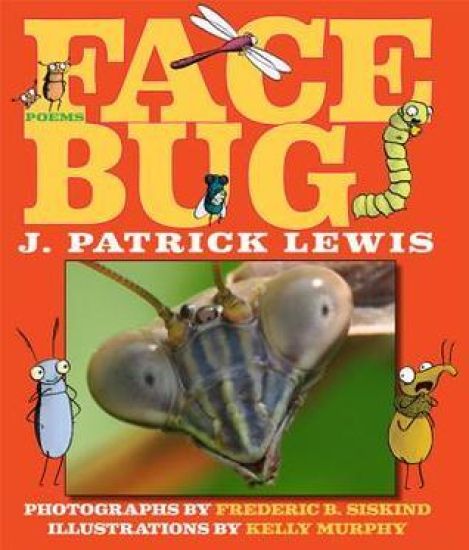 Face Bug