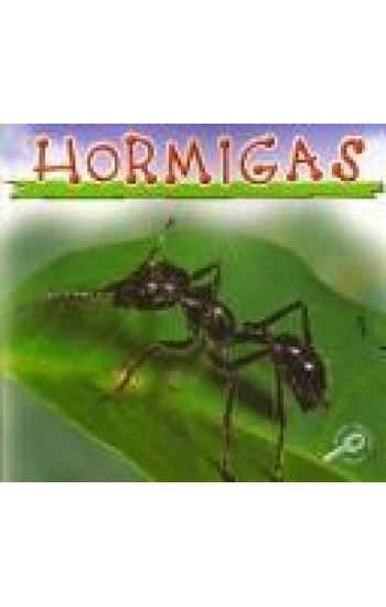 Hormigas: Ants