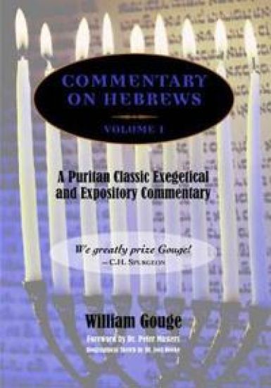 Commentary on Hebrews