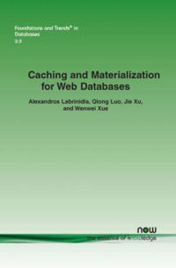 Caching and Materialization for Web Databases