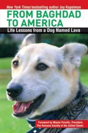 From Baghdad to America: Life Lessons from a Dog Named Lava