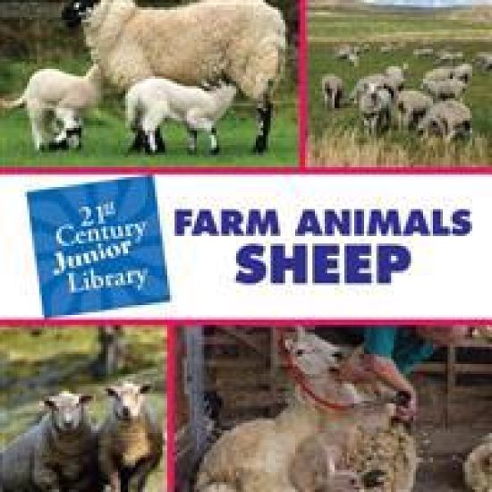 Farm Animals: Sheep