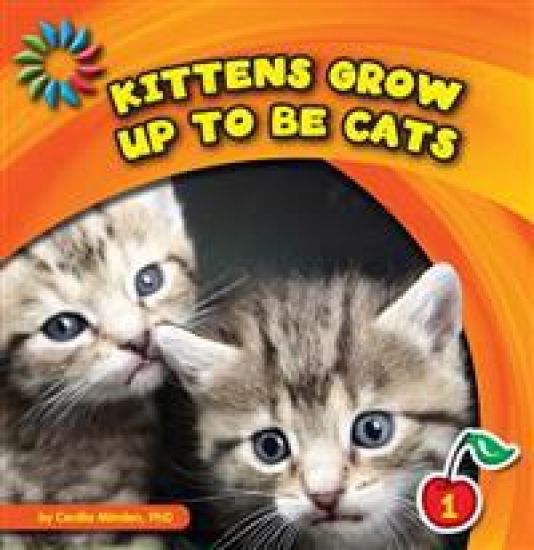 Kittens Grow up to Be Cats