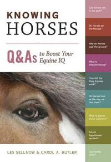 Knowing Horses