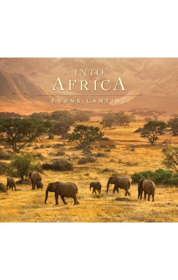 Into Africa
