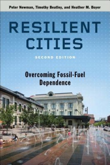 Resilient Cities