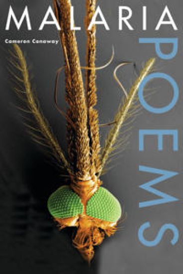Malaria, Poems