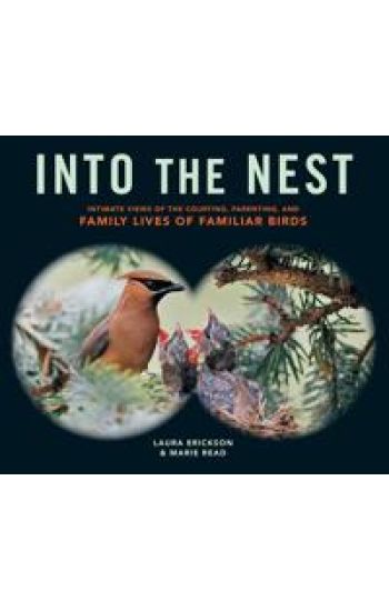 Into the Nest
