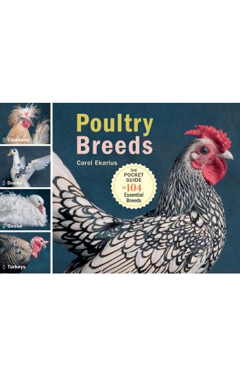 Poultry Breeds