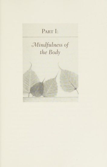 The Four Foundations of Mindfulness in Plain English