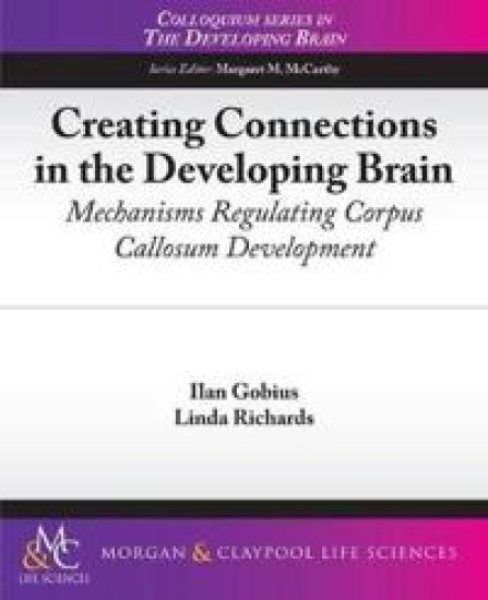 Creating Connections in the Developing Brain