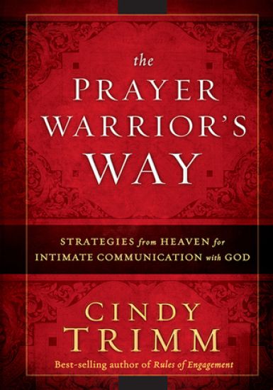 Prayer Warrior's Way, The