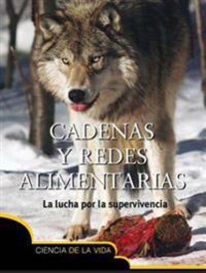 Cadenas Y Redes Alimentarias: Food Chains and Webs