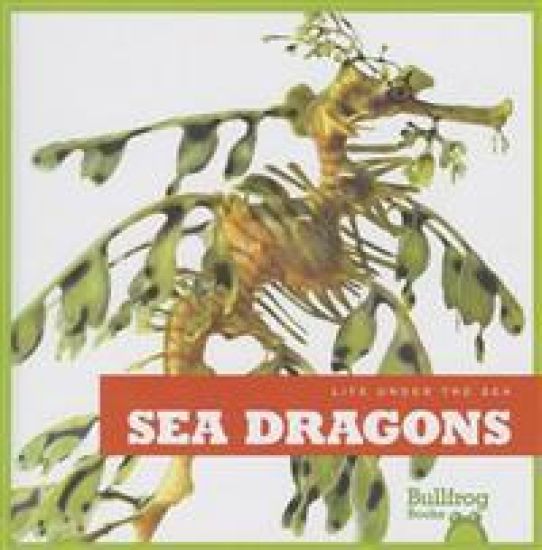 Meister, C: Sea Dragons