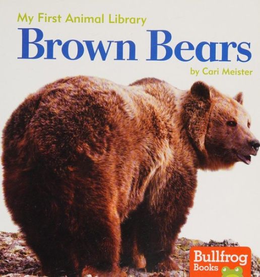 Brown Bears