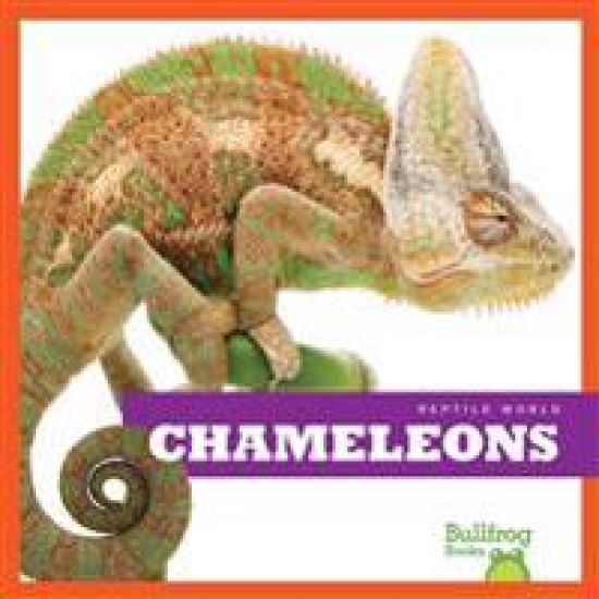 Chameleons