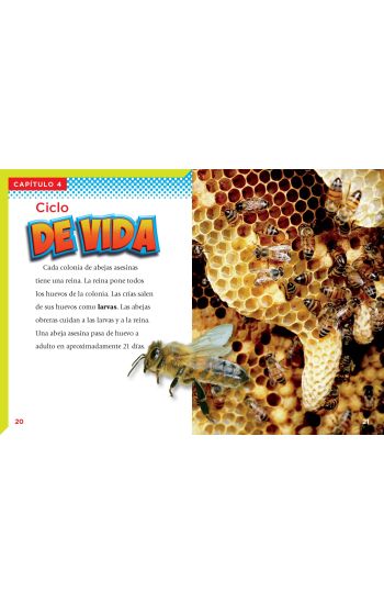 La Abeja Asesina