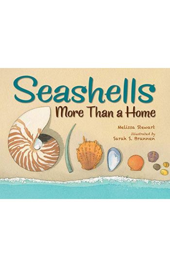 Seashells