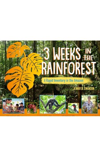 3 Weeks in the Rainforest
