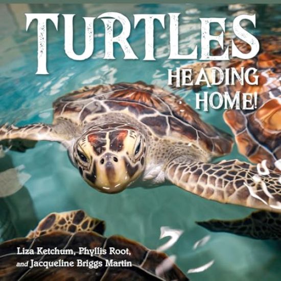 Turtles Heading Home!