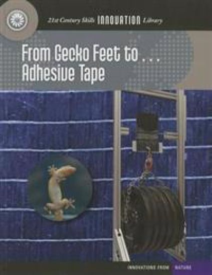 From Gecko Feet to Adhesive Tape
