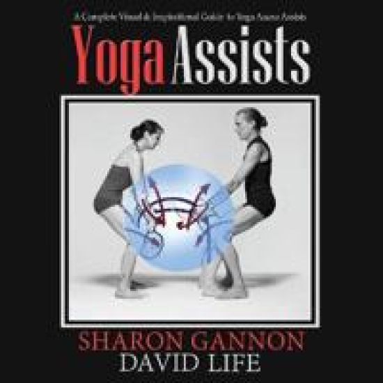 Yoga Assists