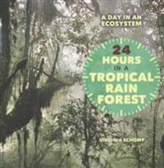 24 Hours in a Tropical Rain Forest