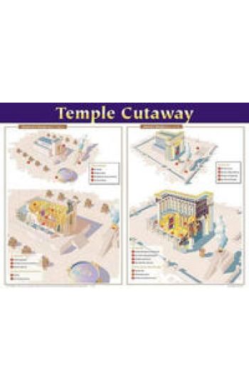 Temple Cutaway Wall Chart