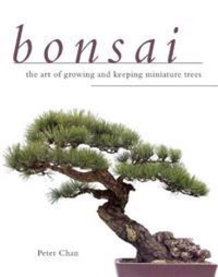 Bonsai: The Art of Growing and Keeping Miniature Trees – Peter Chan, kirjan kansikuva