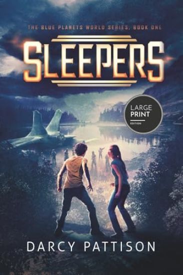 Sleepers Large Print