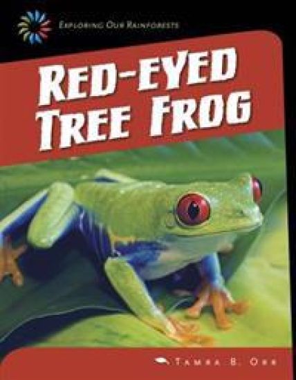 Red-eyed Tree Frog