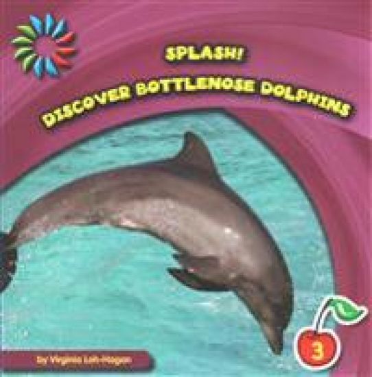 Discover Bottlenose Dolphins